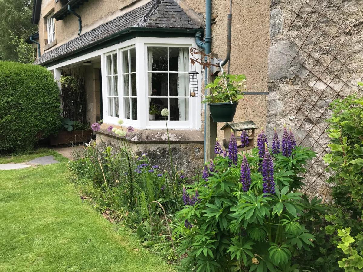 Rowan Cottage, Crannachcottages Garve Exterior foto